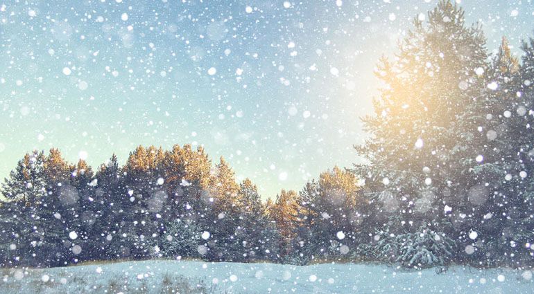 O Natal solitário