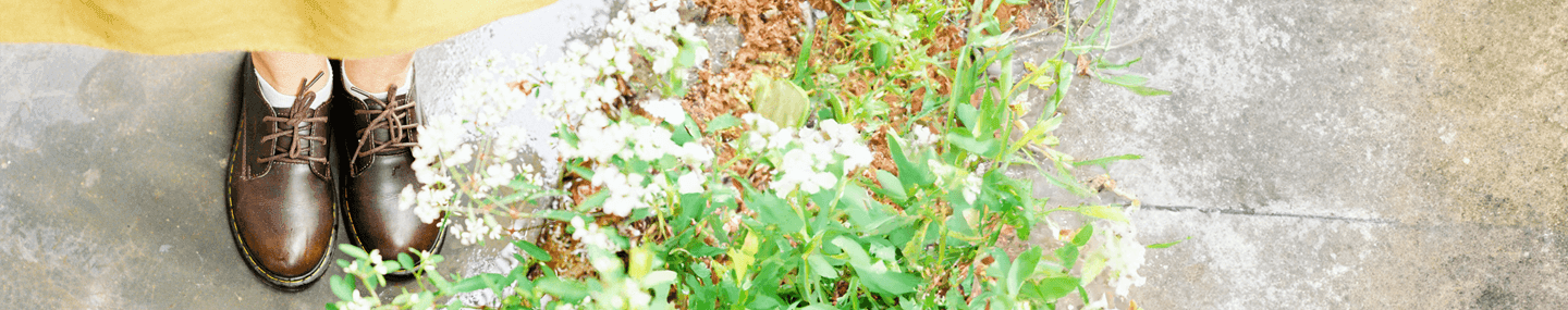 Sabedoria e entendimento