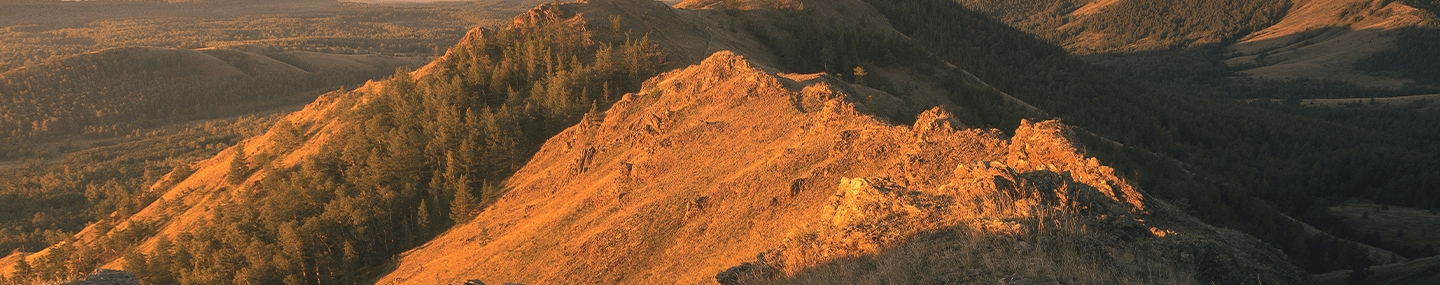 As escolhas inesperadas de Deus