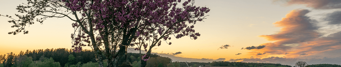 Bem-vindo à casa de Deus