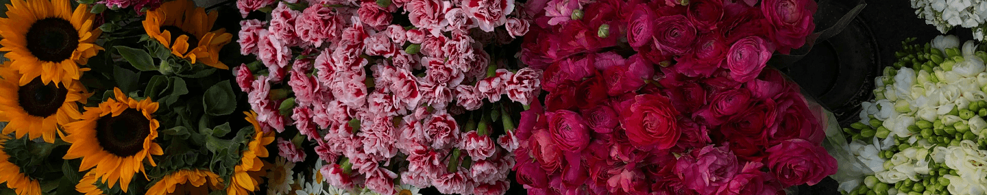 Habilidade de compaixão