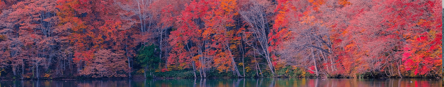 Vendo por meio da fé