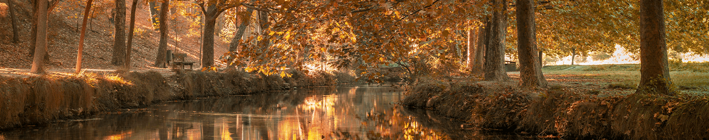 Uma bênção de ação de graças