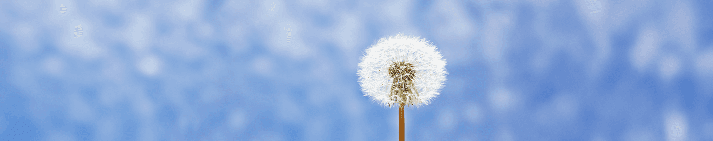 Lealdade silenciosa em Cristo