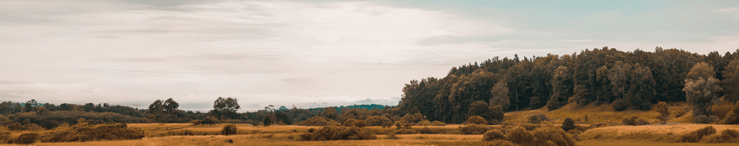 Dádiva da graça divina