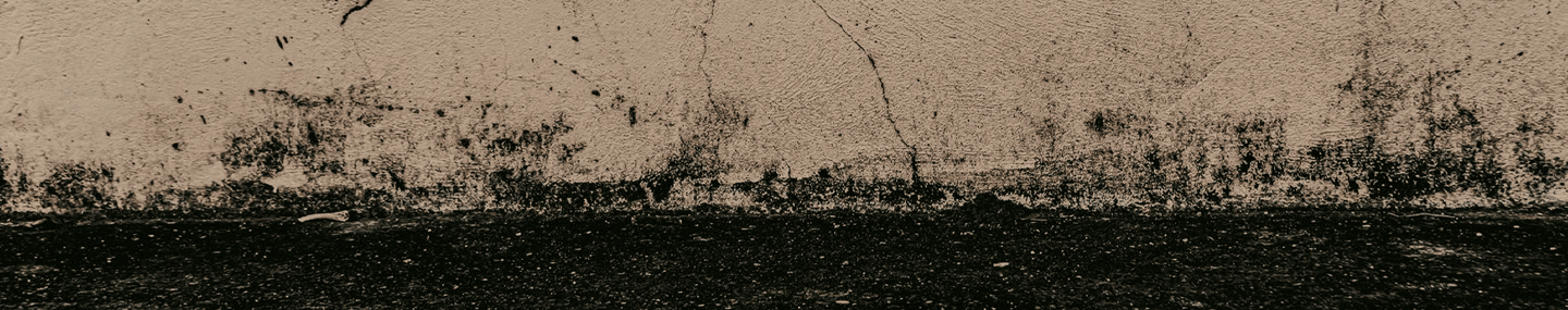 Um coração para Cristo