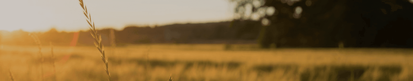 Jesus habita em nós