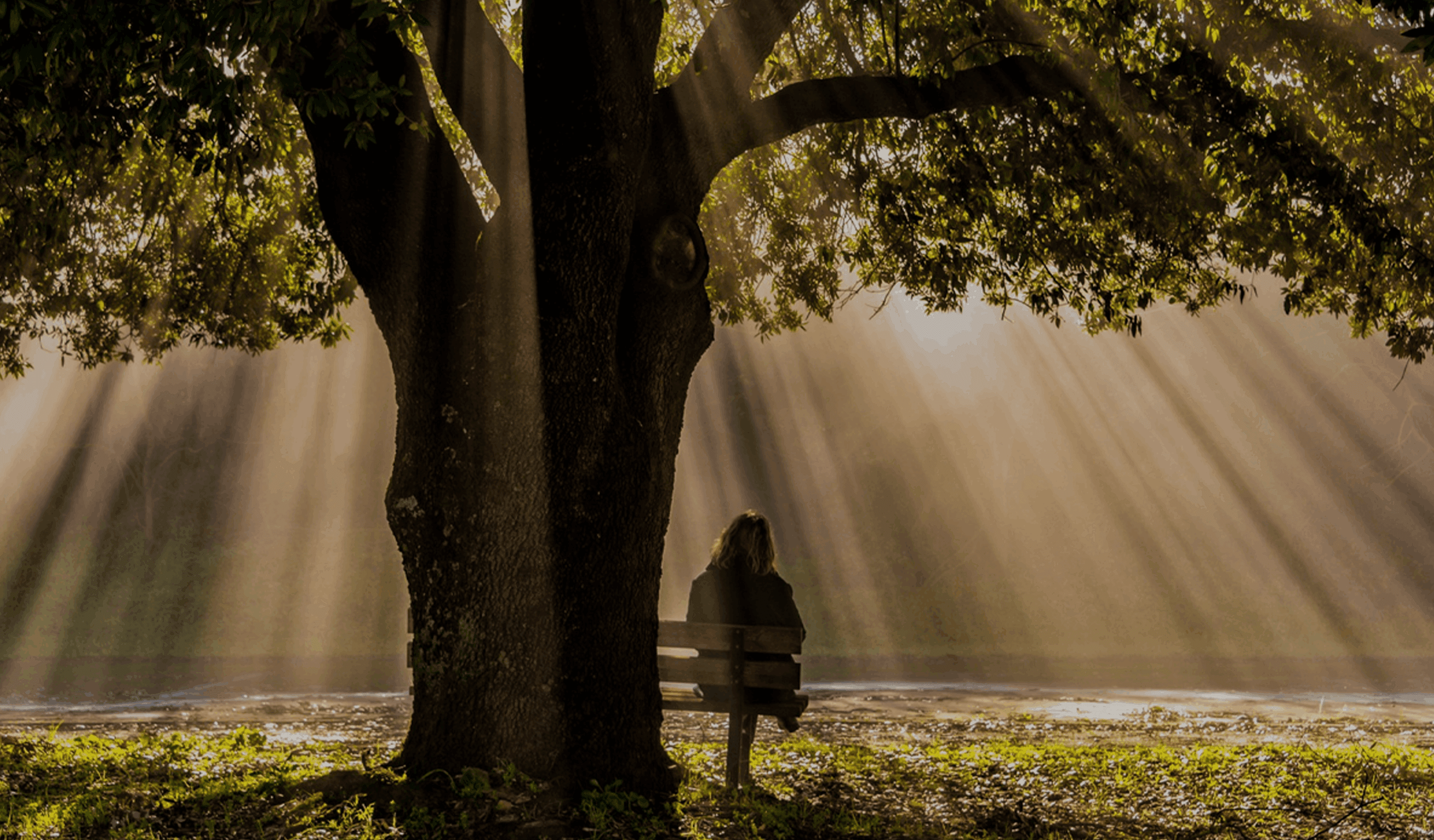 A amargura dos doces roubados