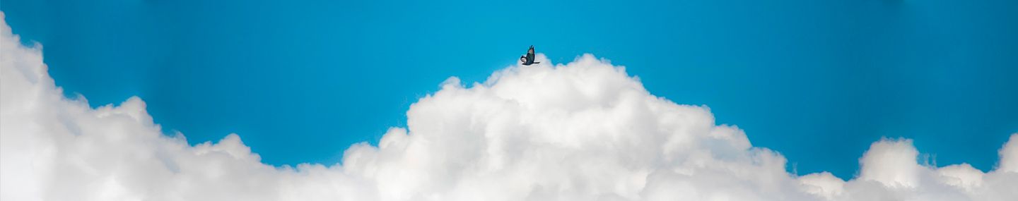 A fé da viúva
