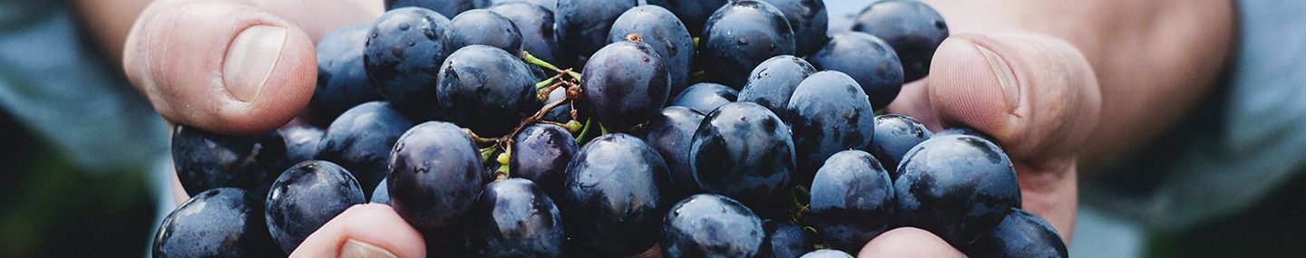 Fruta bonita
