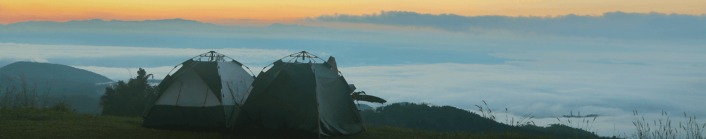 Perdas, reencontros e alegria
