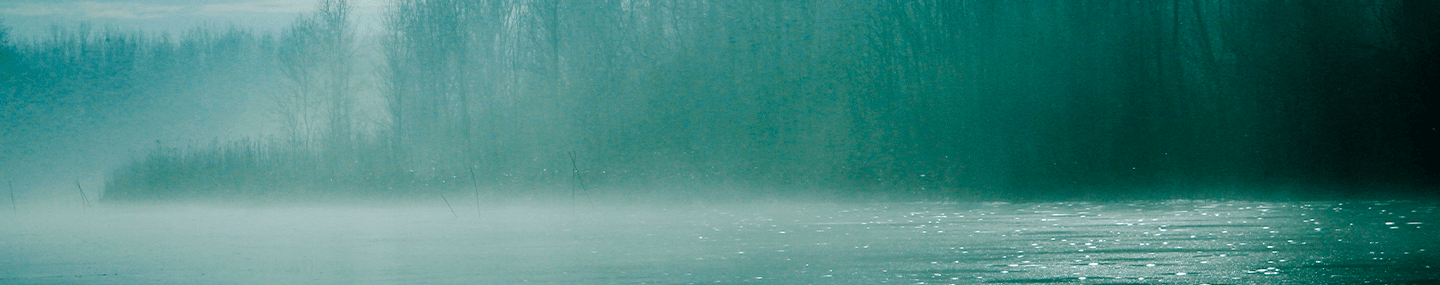 Adiante, prossigo com Jesus