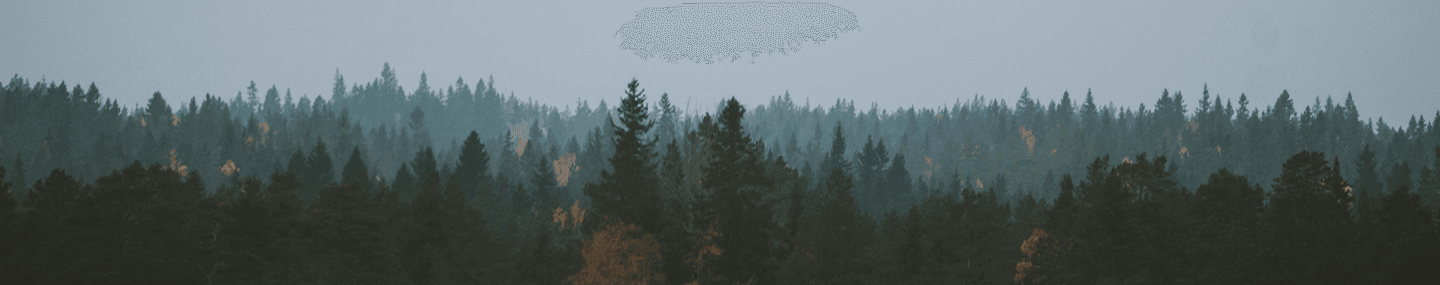 Responsabilidade pessoal