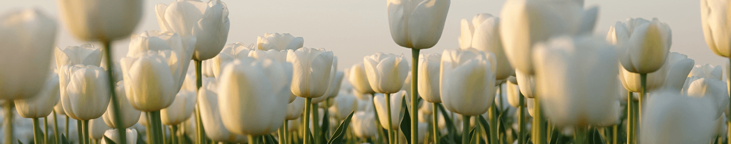 Abre os olhos do meu coração