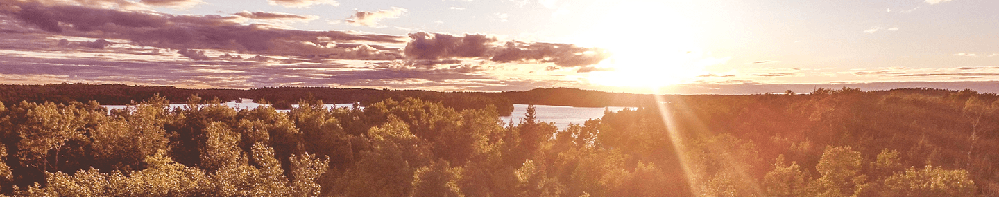 A maravilhosa criação de Deus