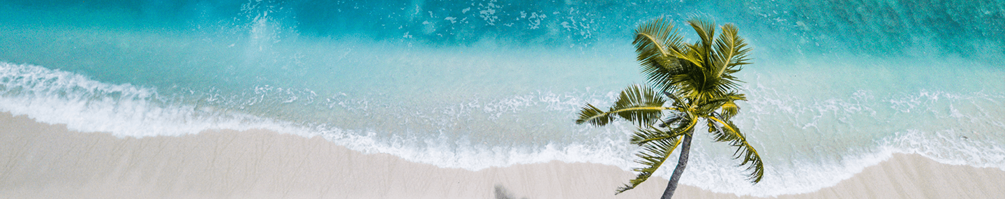 Um presente para Deus